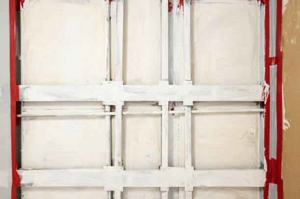 Best Forensic Mold Investigation  in Valrico, FL
