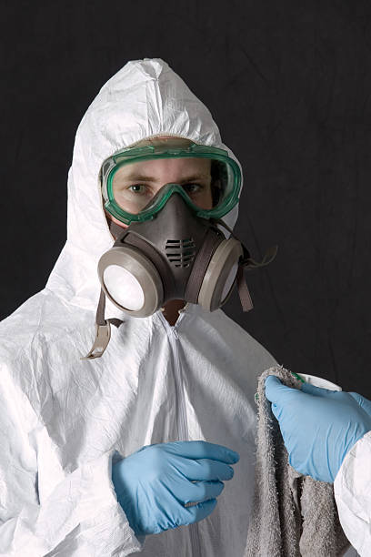 Valrico, FL Mold Removal Company